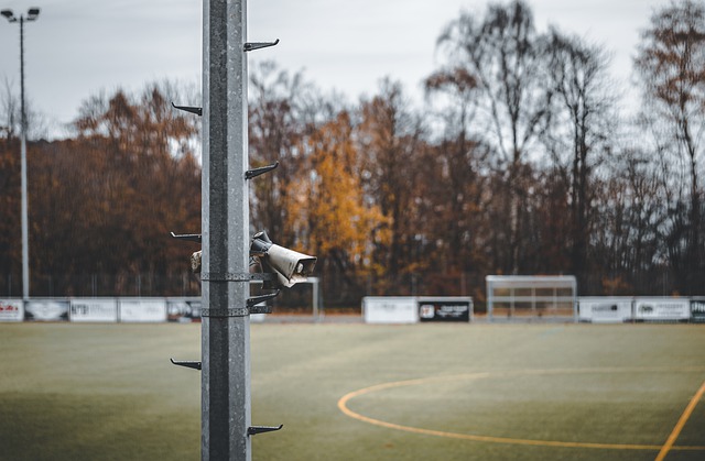 开展详细调 开展详细调