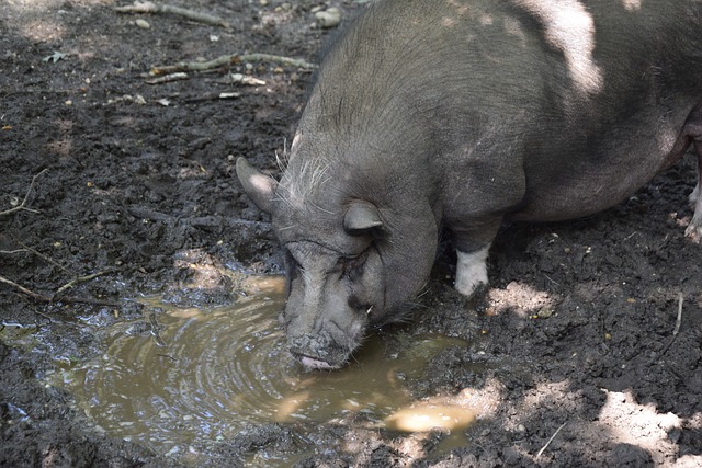掌控能力 掌控能力