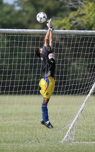 赛备受瞩目 赛备受瞩目