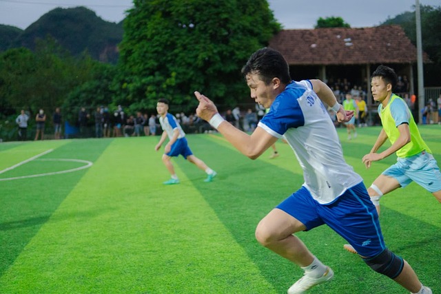 转化为他们 转化为他们