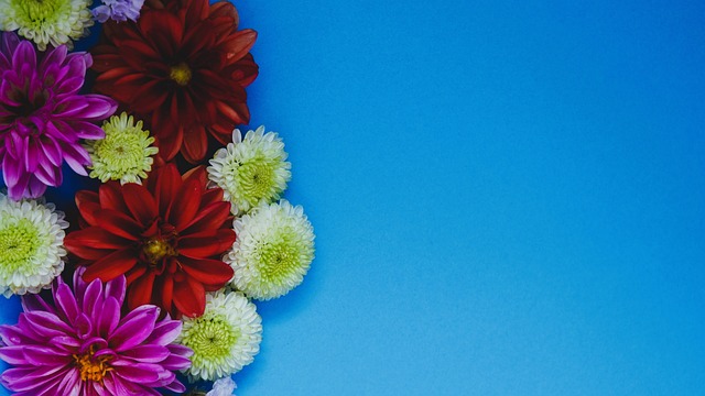 更多这样的 更多这样的