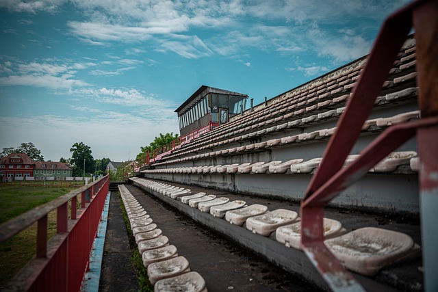 主力中卫的 主力中卫的