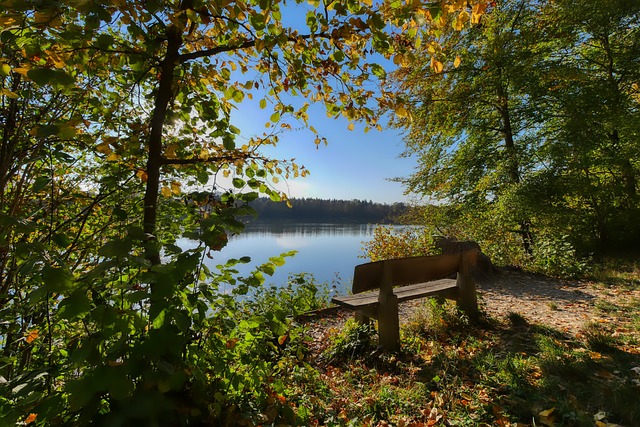 本的道路 本的道路
