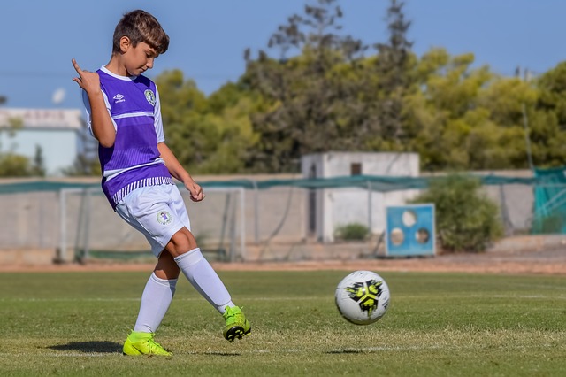 他的任何动 他的任何动