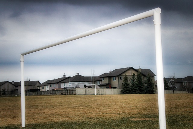 变球队的实 变球队的实